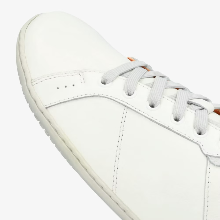 Blaze Barefoot+ (Women's)