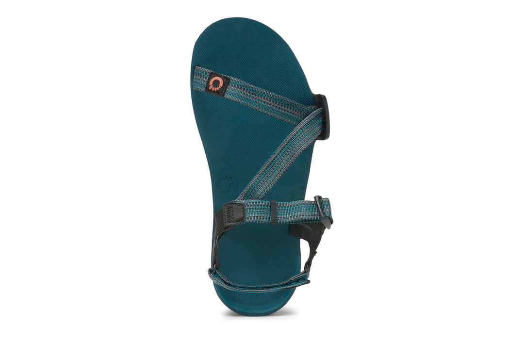 Z-Trail EV (Men's)