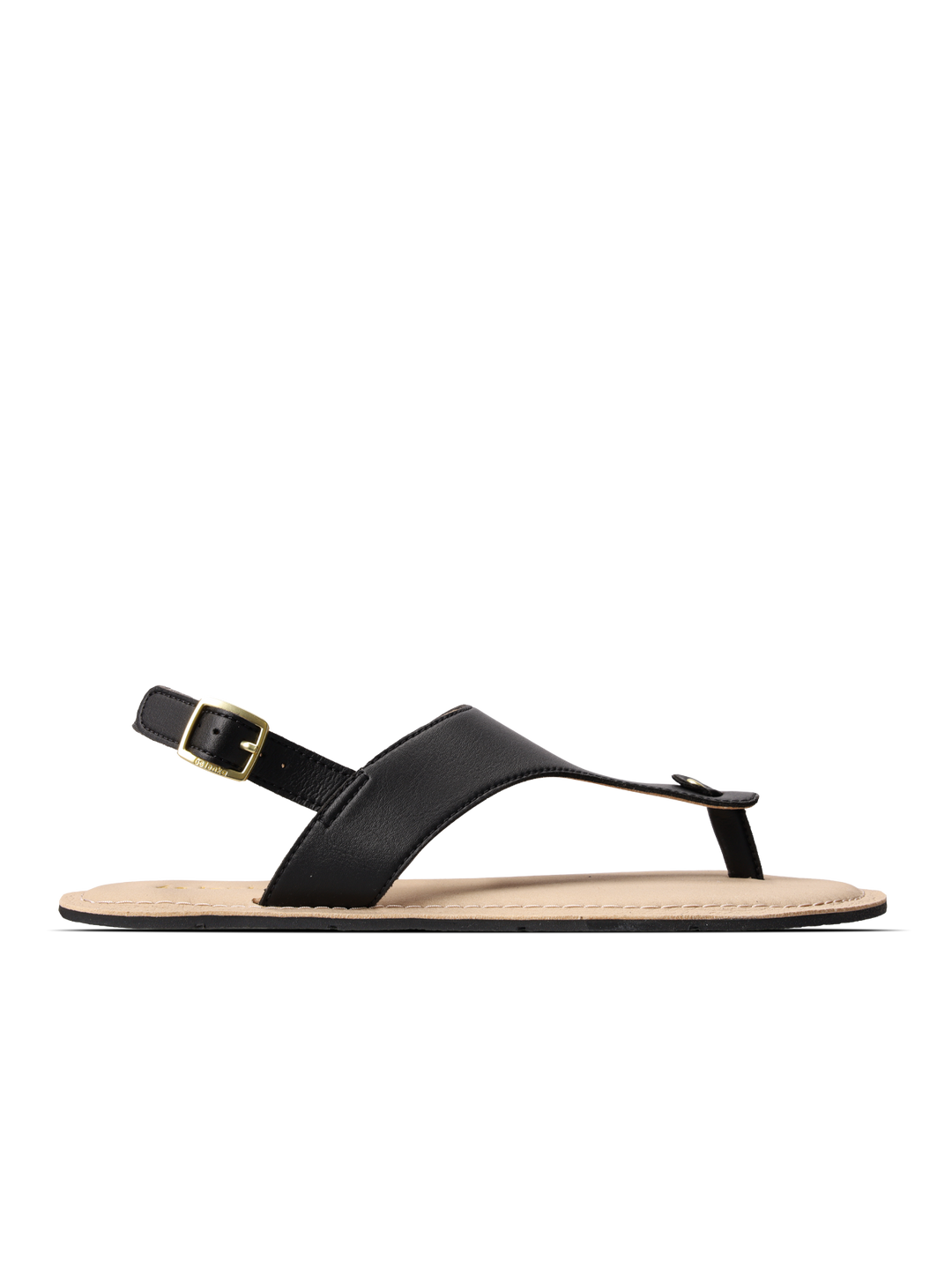 The BeLenka Promenade 2.0 (Women's) sandal is a black minimalist design featuring an elegant strap, a beige sole, and a gold buckle at the ankle, showcased in side profile against a white background.